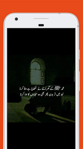 Offline Urdu Poetry 2020 screenshot 6