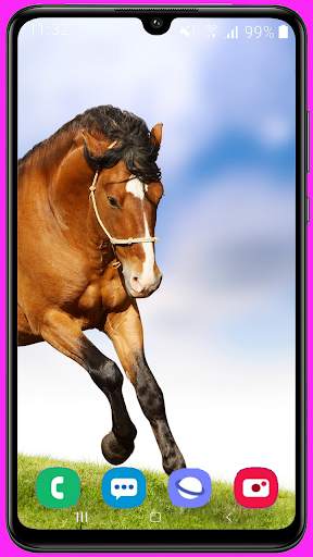 Horse Wallpaper Best HD screenshot 10