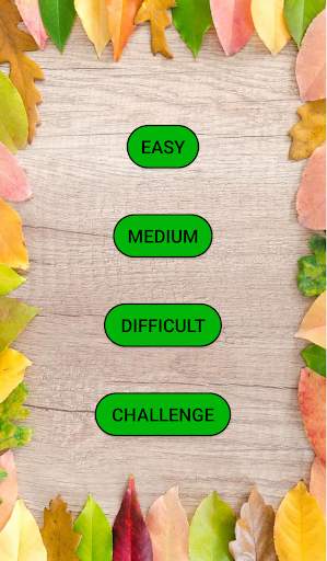Memory Game screenshot 1