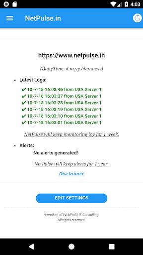 NetPulse screenshot 3