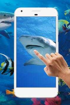 Shark Water Ripple Live Wallpaper screenshot 1