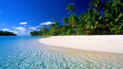 Tropical Wallpaper screenshot 2