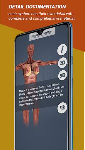 Female Anatomy 3D : Female 3D organs Anatomy screenshot 5