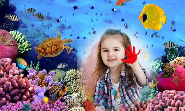 Under Sea Photo Frames 3 تصوير الشاشة