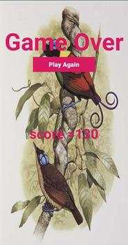 Bird Of Paradise screenshot 5