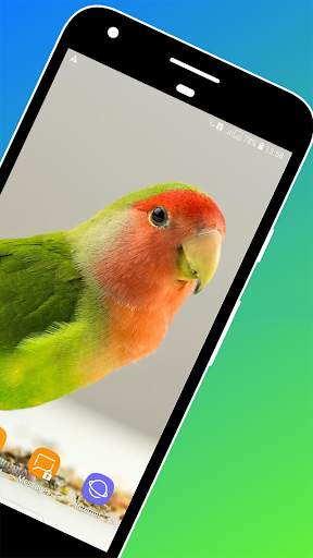 Bird Wallpaper screenshot 2