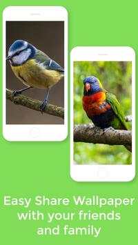 HD Best Birds Wallpaper 4K - Mobile Themes screenshot 7