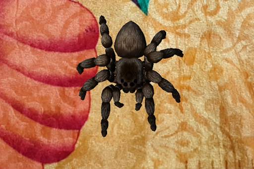 Spider Phobia Therapy-VR and AR (google cardboard) screenshot 4