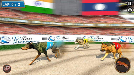 Real Dog Racing Tournament screenshot 14