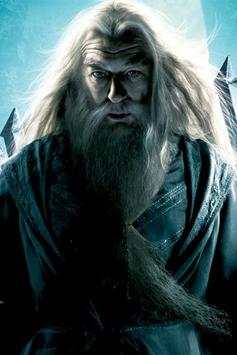 Harry Potter Live Wallpaper screenshot 6