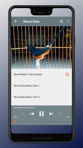 Kicau Burung Terlengkap screenshot 7