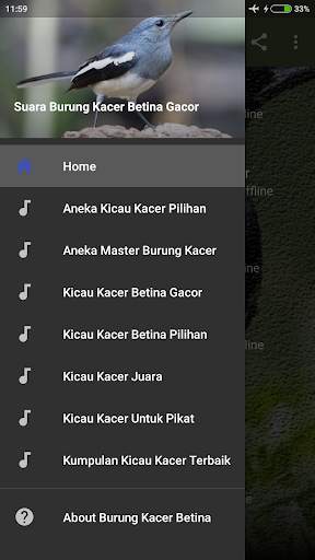 Suara Burung Kacer Betina Gacor screenshot 1