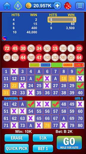 Keno Multi Card screenshot 1