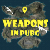 Weapons In PUBG icon