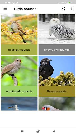 Birds sounds screenshot 4