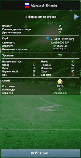 True Football 3 скриншот 4
