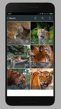 Cat Wallpaper HD screenshot 5