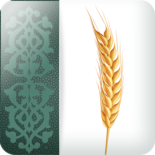 Zakat in Islam icon