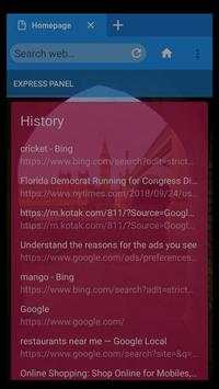 Web Browser screenshot 2