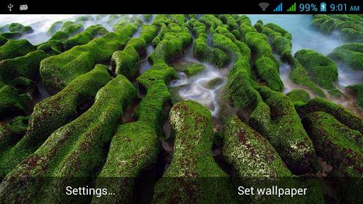 Nature Live Images screenshot 5