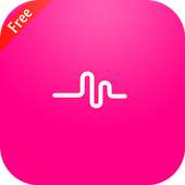 Musical ly. Music videos 1.0