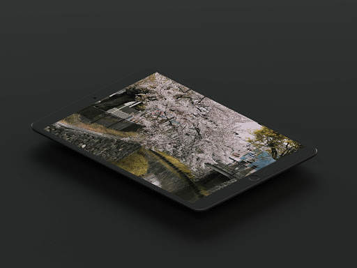 Cherry Blossom Wallpaper screenshot 14