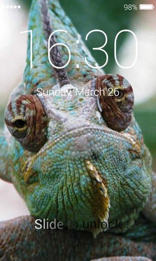 Chameleon Lock Screen screenshot 2