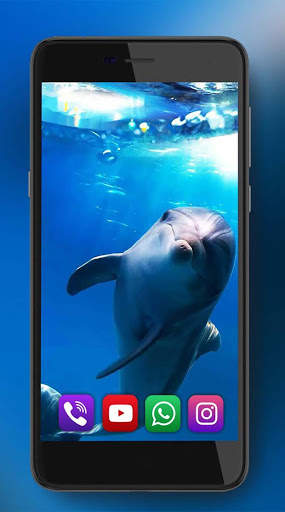 Dolphins Live Wallpaper screenshot 6