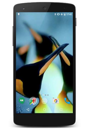 Penguins Video Live Wallpaper screenshot 3