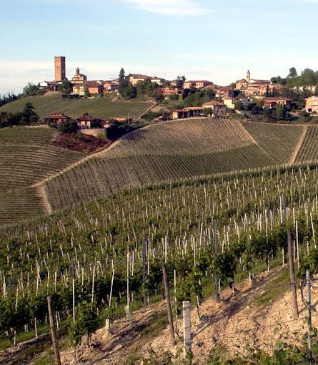 Barbaresco Map скриншот 2