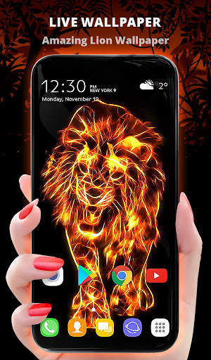 Fire Wallpaper and Keyboard - Fire Lion screenshot 1