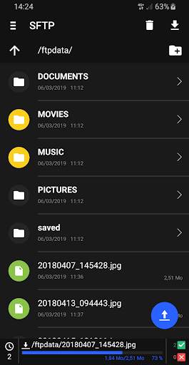 WM FTP Client screenshot 2