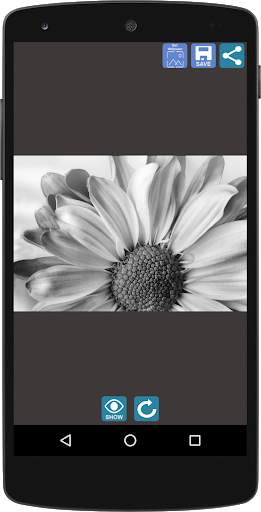 Digital Photo Editing Effect : Colorful images screenshot 4