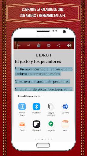 Bible RVR 1995, Reina Valera 1995 (Spanish) Free screenshot 14