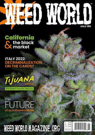 Weed World Magazine screenshot 5