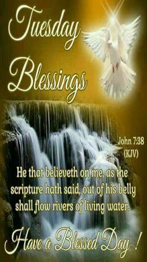 Everyday Blessing Quotes 2 تصوير الشاشة