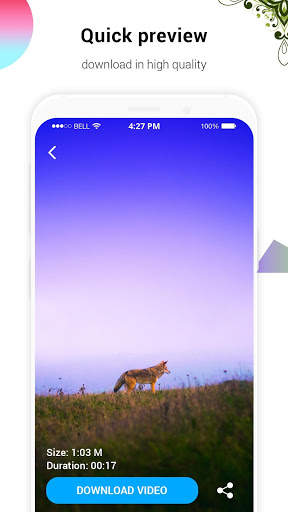 HD Animal Video Wallpaper screenshot 2