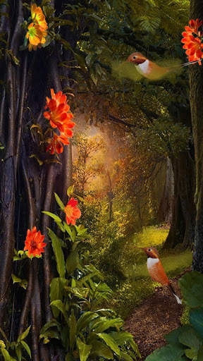 Hummingbirds 3D Live Wallpaper screenshot 3