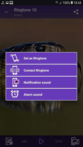 Snake - RINGTONES and WALLPAPERS screenshot 4