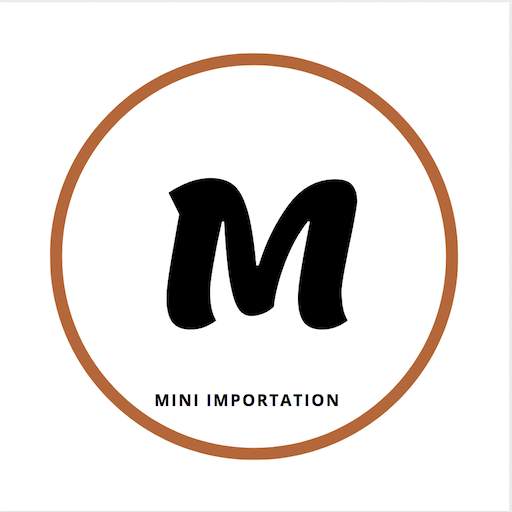 Mini Importation course screenshot 1