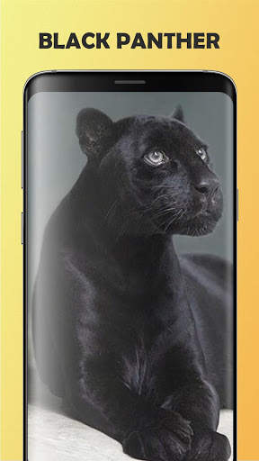 Black Panther Wallpaper screenshot 4