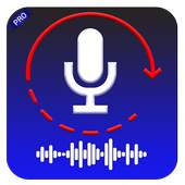 Deleted Audio Recovery-Pro 7.0