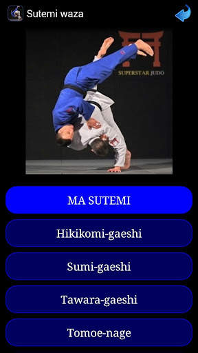 Judo in brief screenshot 5