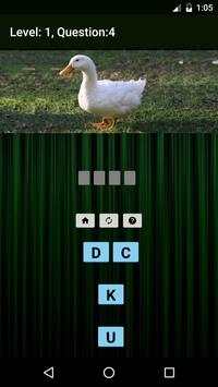 Animals & Birds Quiz screenshot 3