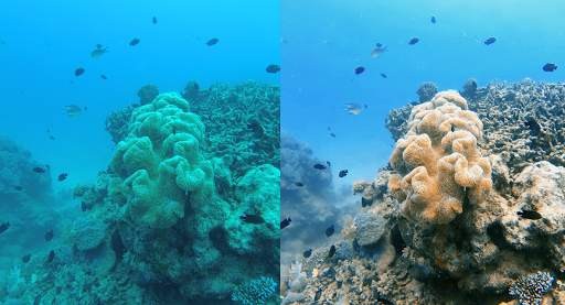 UwEdit - Underwater color restoration screenshot 3