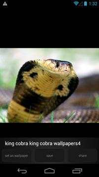 King Cobra Wallpapers Picture screenshot 4