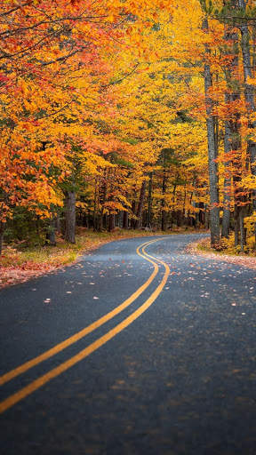 HD Road Wallpaper screenshot 11
