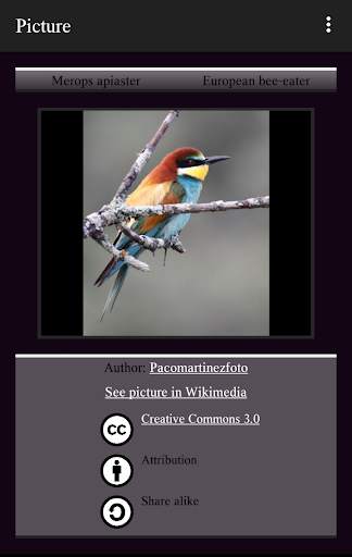 104 Birds Quiz screenshot 2