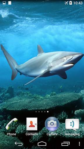 Shark Live Wallpaper screenshot 4