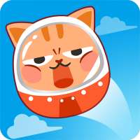 Toss Cat